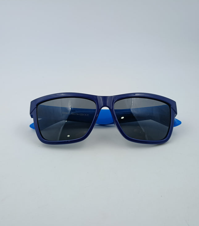 Sky Blue & Pink Wayfarer Full Rim